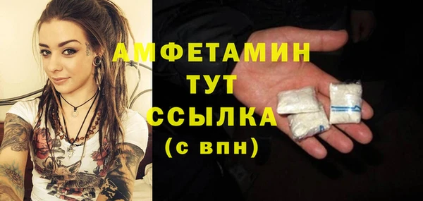 шишки Алексеевка