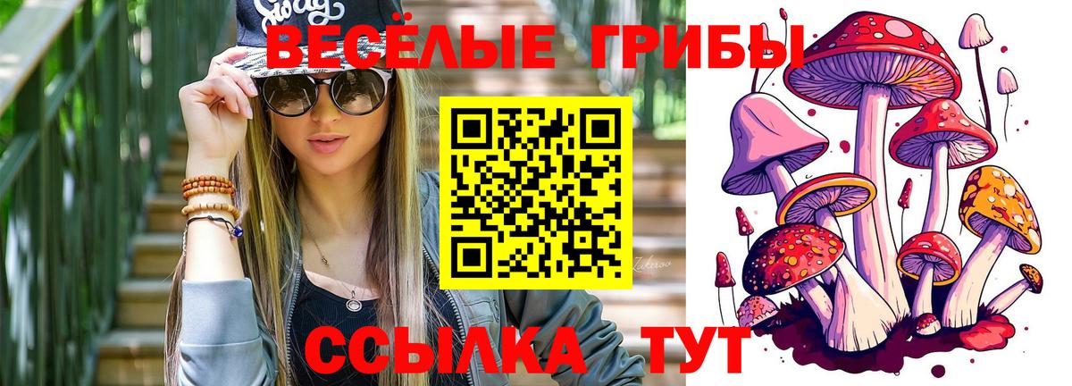Галлюциногенные грибы мухоморы Борзя